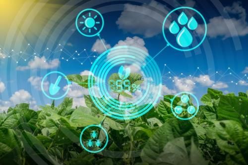 9001cc 以诚为本 9001cc海岳智粮·慧眼产品解决方案